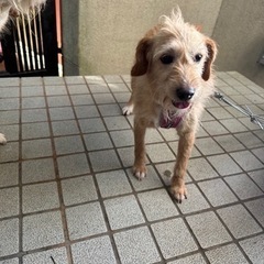 再募集しています。 - 唐津市