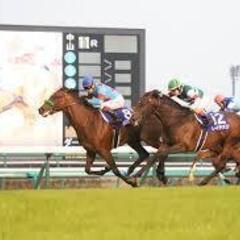 馬好き集まれ！競馬しながらみんなで飲もうの会♬