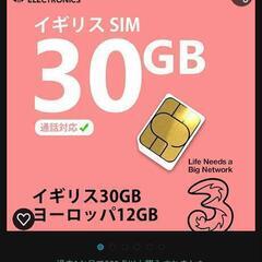 2枚　イギリス　ヨーロッパ　sim　30GB 通話3000分