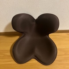 【決まりました】姿勢矯正 サポート 