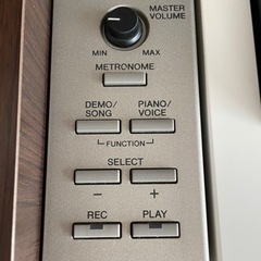 YAMAHA ARIUS YDP-S31の画像