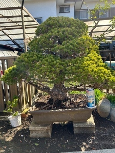 生活雑貨 家庭用品 ガーデニング