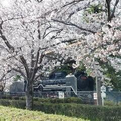 ３月24日(日)晴れたらツーリング行きましょ♫ - 守山市