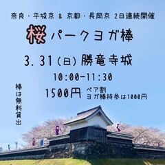 桜パークヨガ棒 参加者募集／初心者大歓迎／勝竜寺城公園