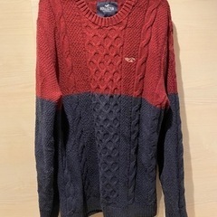 ニット(ホリスター・M)