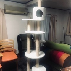 キャットタワー　美品　猫大好き　お安くお譲りいたします♪