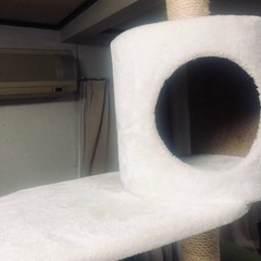 キャットタワー　美品　猫大好き　お安くお譲りいたします♪の画像
