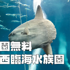 葛西臨海水族園が入場無料！名物のマグロの回遊、サンゴ礁の海、海藻...