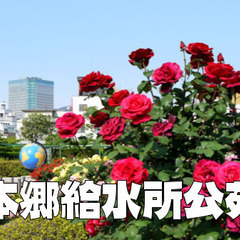 本郷給水所公苑でバラの鑑賞と水道の歴史や史跡を巡ります♪