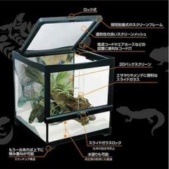 爬虫類ケージの画像