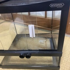 爬虫類ケージの画像