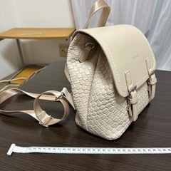 美品　　バックの画像