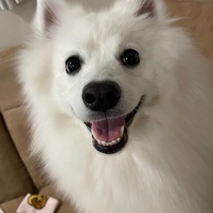 良いご家族に巡り会えました。ありがとうございました。