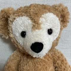ダッフィーのぬいぐるみの画像