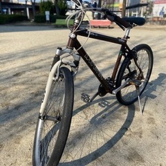 ルイガノ/自転車