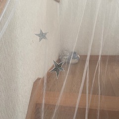おしゃれな蚊帳❓の画像