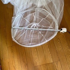 おしゃれな蚊帳❓の画像