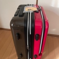 キャリーバッグの画像
