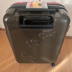 キャリーバッグの画像