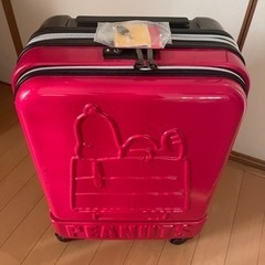 キャリーバッグ