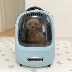 （お取引き終了しました）ペットリュック　petkit