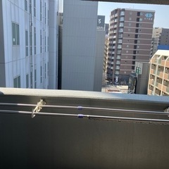 物干し竿2本組の画像