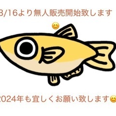 里山めだか　無人販売所　3/16 開始