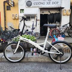 折りたたみ自転車　２０インチ　６変速　カゴ　付き　白　配達可能