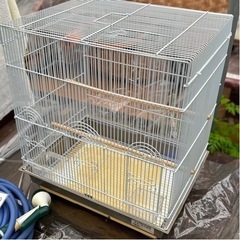 鳥カゴ/オカメインコのドリームハウス