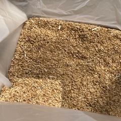 （決まりました）　籾殻 もみがら 約92〜95cm（縦横高さ合計）段ボールにいっぱい 福島県産 土壌改良に もみ殻 モミガラ ペット　肥料　園芸　ガーデニング　の画像