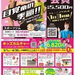 こどもチアダンス教室の画像