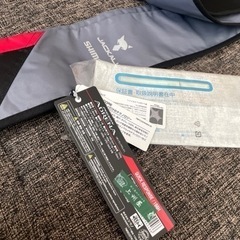 18ポイズンアドレナ　2020モデル　166Hの画像