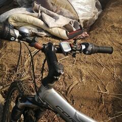 自転車