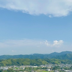 山菜採り、キノコ狩りのお供させてください、、！