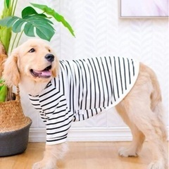 ペット服　犬服　XXL🖤