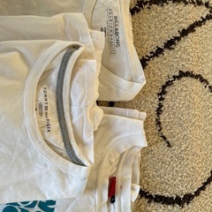 差し上げます！Tシャツ　半袖／長袖の画像