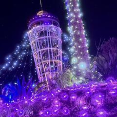 ✧気軽に会えて末永くお友達でいられる方✧