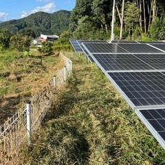 九州 山口県 太陽光発電　除草メンテナンス - 剪定/造園