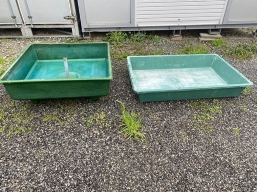 らんちゅう　めだか　　FRP水槽2個　その他色々