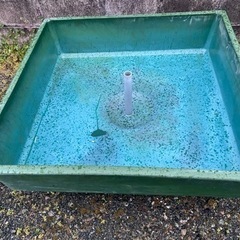 らんちゅう めだか FRP水槽2個 その他色々