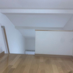 【大田区池上駅徒歩3分】2階・南向きでまさかの5万円・ロフト付！フリーレント【敷・礼0】 - 賃貸（マンション/一戸建て）