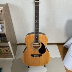 楽器 弦楽器、ギター