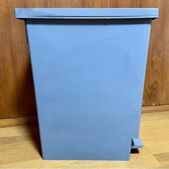 【引き取り限定】スタイルダストボックス45Lの画像