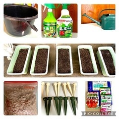 【すぐに始められる！】プランタースターターセット