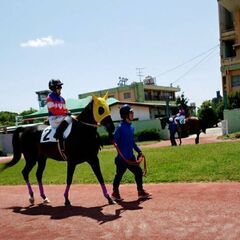 競馬好きな友達大募集！
