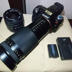 ソニー SONY α55 SLT-A55V 標準・望遠ダブルズームセット 美品 高速連写に定評アリ SDカードフード付き : 770 :  カメラFanks-PROShop 2ndヤフー店 - 通販 - Yahoo!ショッピング