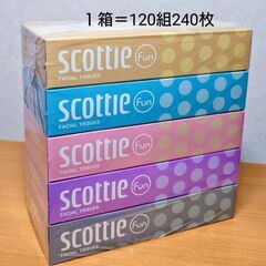 【成立終了】新生活準備品🎀スコッティ ティシュー ファン／240枚(120組) 5箱パック✨未開封品の画像