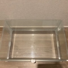 グラスハーモニー600➕おまけの画像