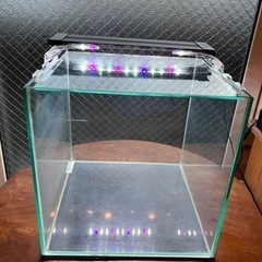 水槽、LED照明、ヒーター、カルキ抜き、ピンセット、砂利等ぜーん...