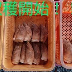 高級筍食品